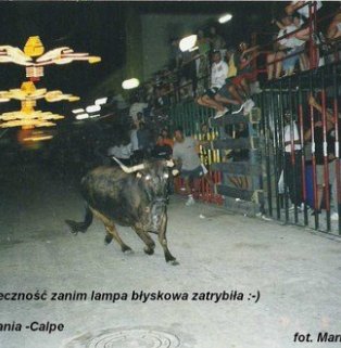Ucieczka przed bykiem w Hiszpanii